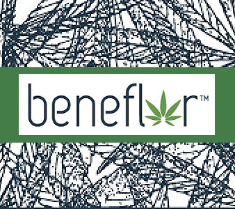 Beneflor logo